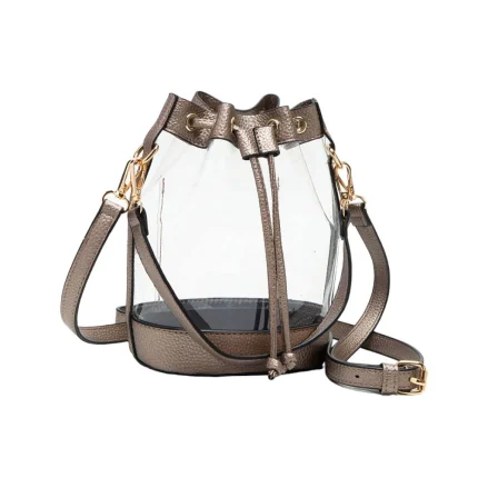 Transparent Chic Sling Bag